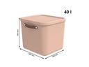 Rotho Aufbewahrungsbox Maloja 40 l, Meadow Rose