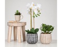 scheurich Blumentopf Runa 13 l, Grau