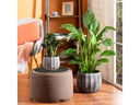 scheurich Blumentopf Runa 13 l, Grau