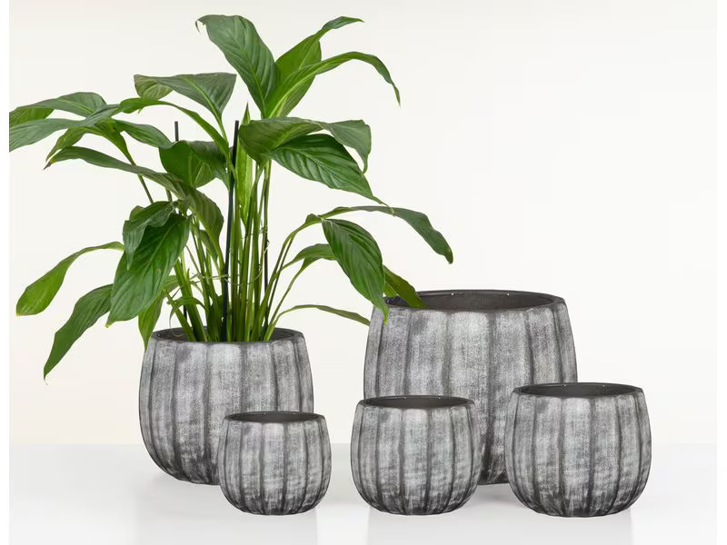 scheurich Blumentopf Runa 13 l, Grau