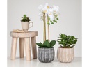 scheurich Blumentopf Runa 13 l, Grau
