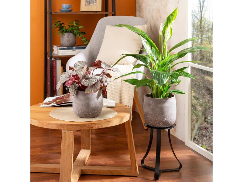 scheurich Blumentopf Dune 6.1 l, Braun