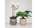 scheurich Blumentopf Dune 6.1 l, Braun