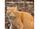 tractive GPS-Tracker CAT Mini LTE, Mint