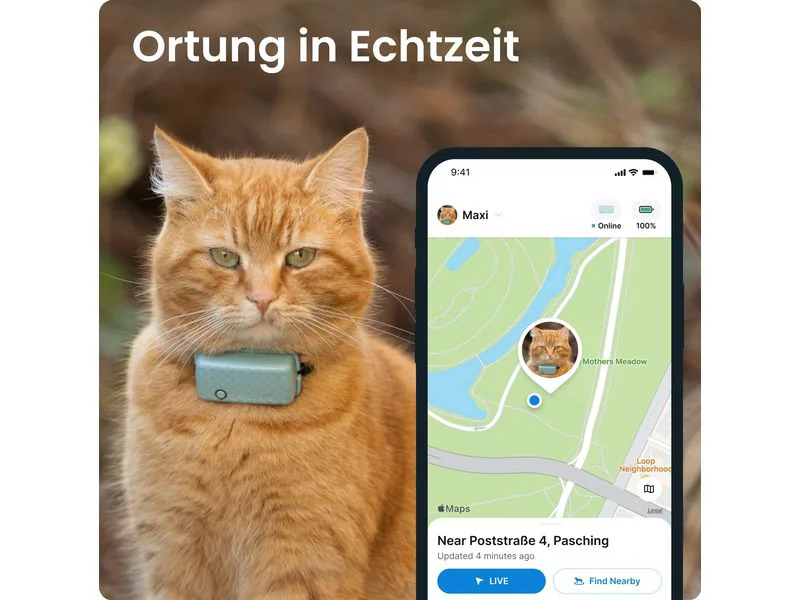 tractive GPS-Tracker CAT Mini LTE, Mint