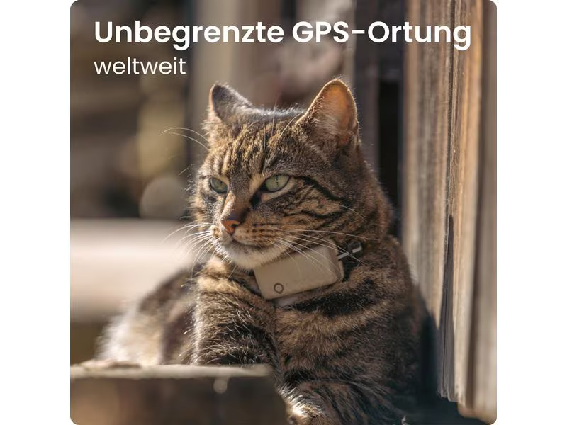 tractive GPS-Tracker CAT Mini LTE, Braun