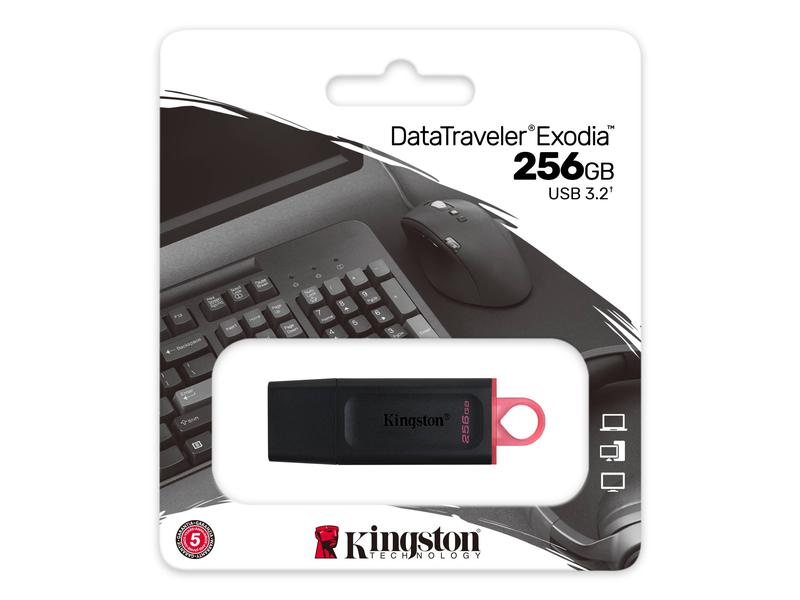 Kingston USB-Stick DataTraveler Exodia 256 GB