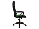 Racing Chairs Gaming-Stuhl CL-RC-BG Grün/Schwarz