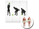 Schildkröt Fitness Medizinball Slamball 3 kg