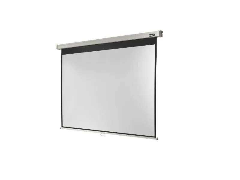 Celexon Rollo-Leinwand Pro 220x165cm 4:3
