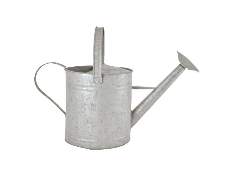 Esschert Design Giesskanne 6.5 l Zink