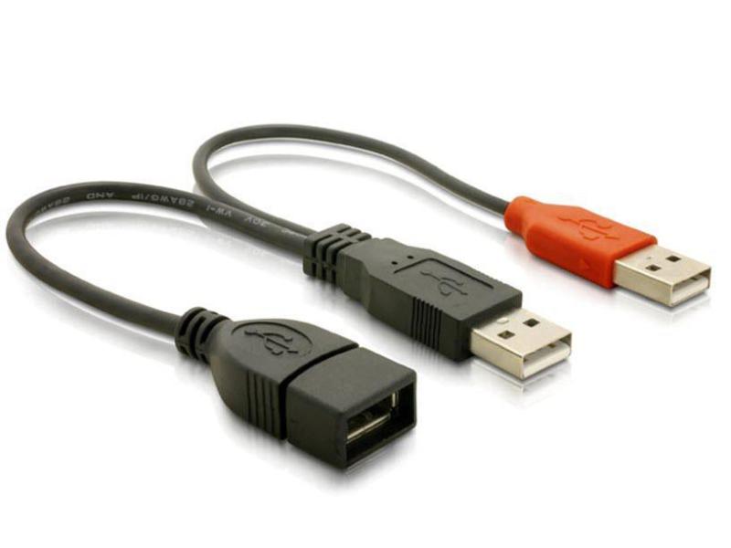 Delock USB 2.0-Y-Kabel  USB A - USB A 0.22 m