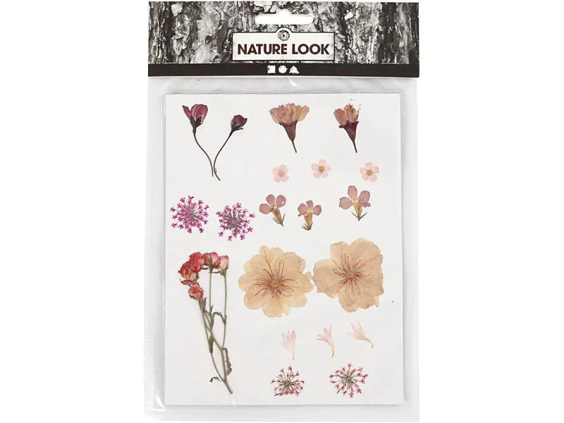 Creativ Company Trockenblumen Gepresste Blüten 20 farbig sortiert