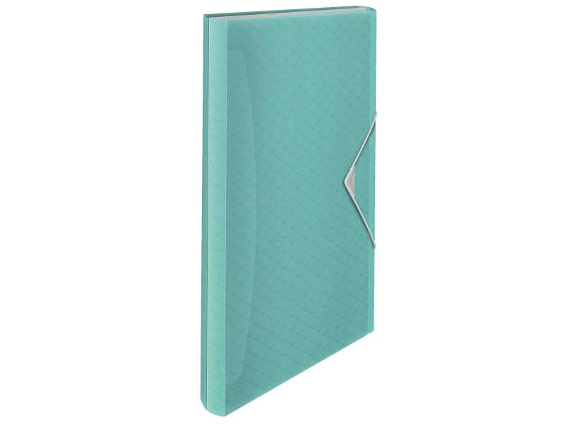 Esselte Fächermappe COLOUR‘ICE Blau