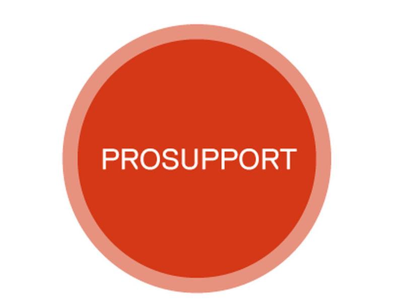 DELL ProSupport Latitude 3xxx 2 J. NBD zu 3 J. ProSupport