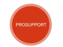 DELL ProSupport Latitude 3xxx 2 J. NBD zu 3 J. ProSupport