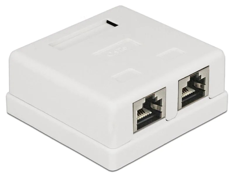 Delock Gehäuse Cat.6 LSA 2-fach