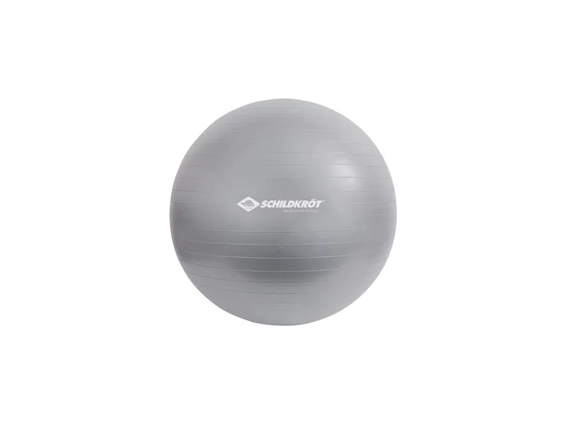 Schildkröt Fitness Gymnastikball 55 cm