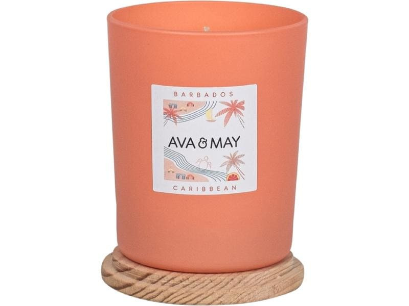 AVA &amp; MAY Duftkerze Barbados 180 g