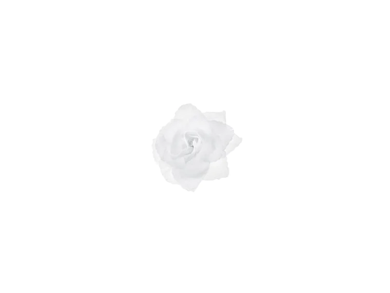 Partydeco Hochzeitsaccessoire Autodekoration Rose Selbstklebend Weiss