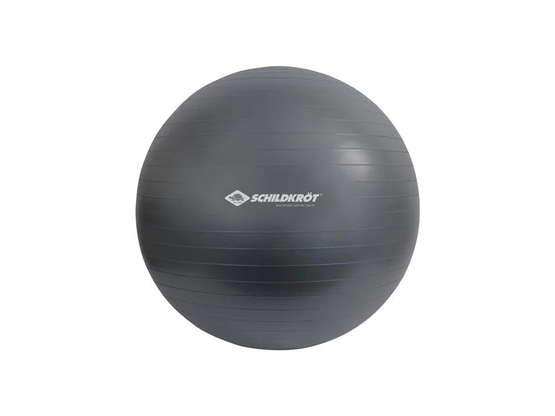 Schildkröt Fitness Gymnastikball 75 cm