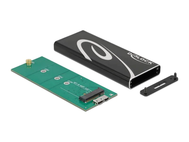 Delock Externes Gehäuse SuperSpeed USB 3.2 Gen 2 - SATA SSD M.2