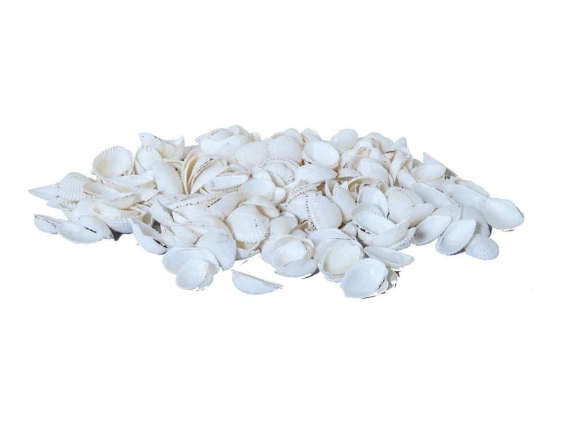 Dekomat AG Muscheln, 300 g Weiss