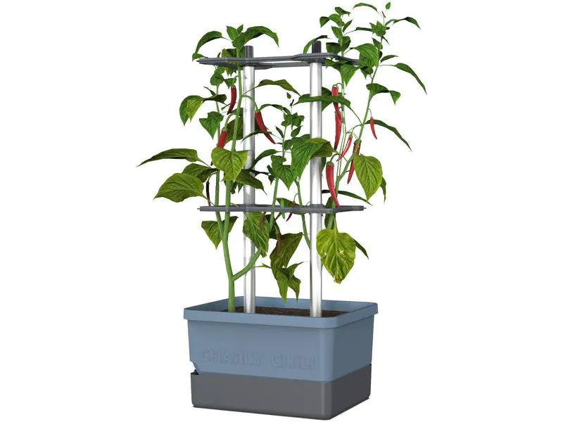Gusta Garden Pflanzentopf CHARLY CHILI Starterset, Blau