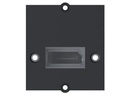 Bachmann Custom Modul 1x DisplayPort