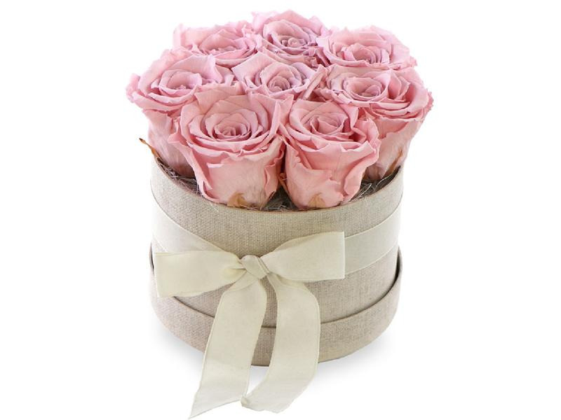 Soli Collection Trockenblumen Rosen 8 Stück, Rosa
