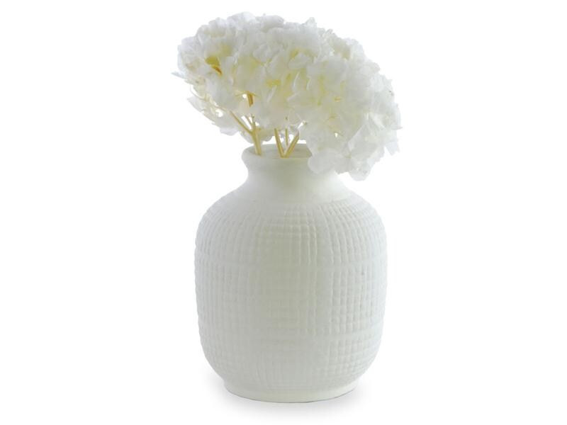 Soli Collection Trockenblumen Hortensien 30 cm, Weiss