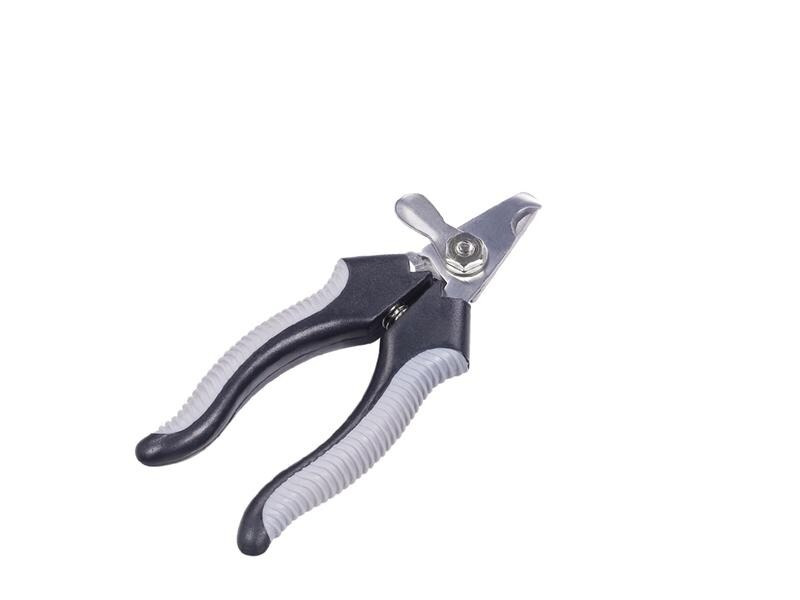 Nobby Starline Krallenschere, Klein