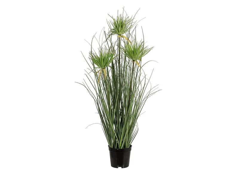 Botanic-Haus Kunstpflanze Papyrus 3x, Grün