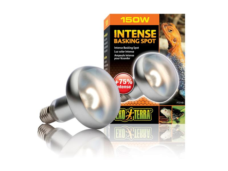 Exo Terra Terrarienlampe Intense Basking Spot E27, R30/150W