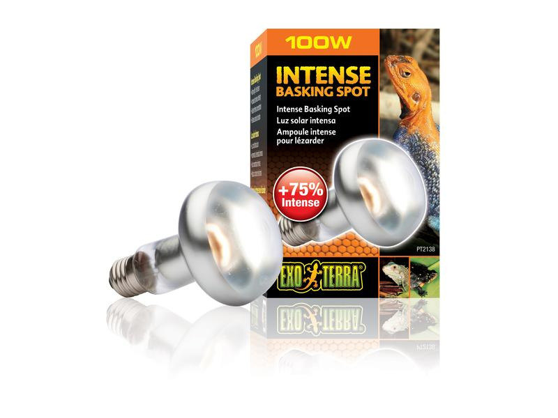 Exo Terra Terrarienlampe Intense Basking Spot E27, R25/100W