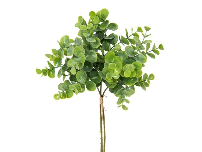 Botanic-Haus Kunstpflanze Eukalyptusbund 3er Set, 40 cm