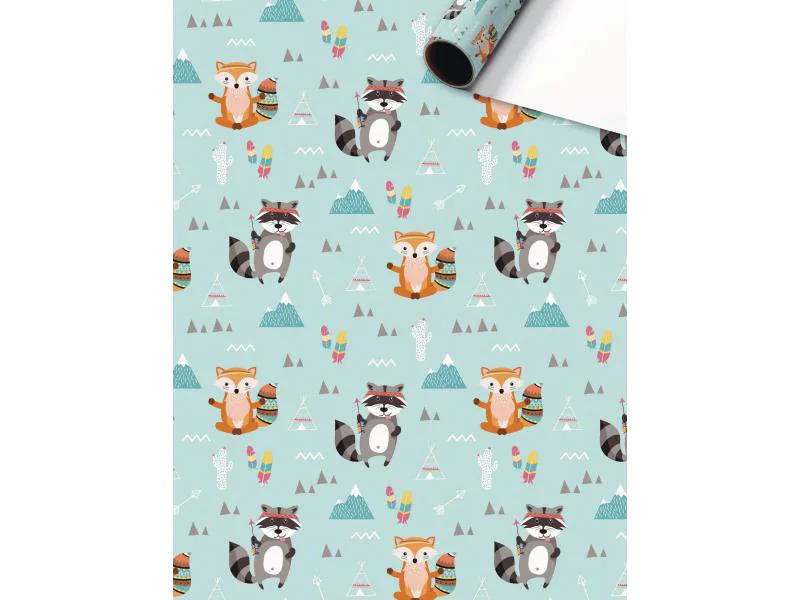 Stewo Geschenkpapier Matz 1 Stück, Mint/Orange, 70 cm x 2 m