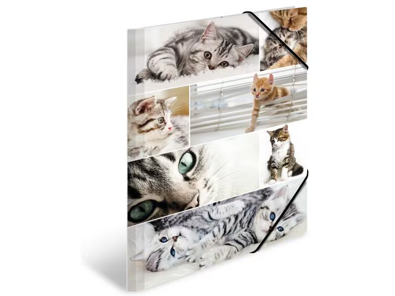HERMA Gummibandmappe A3 Katzen, Karton, mit Innendruck