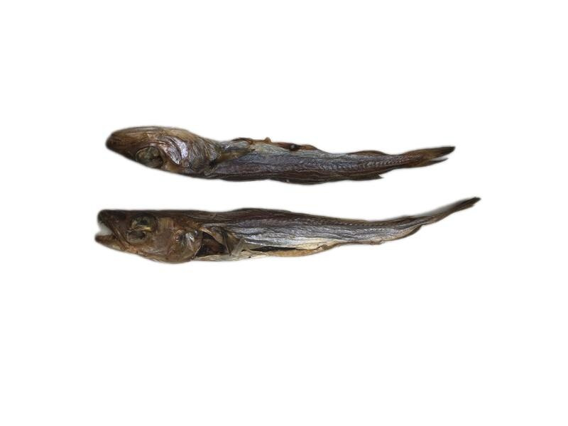 Kaufit Blue Whitting, 200 g