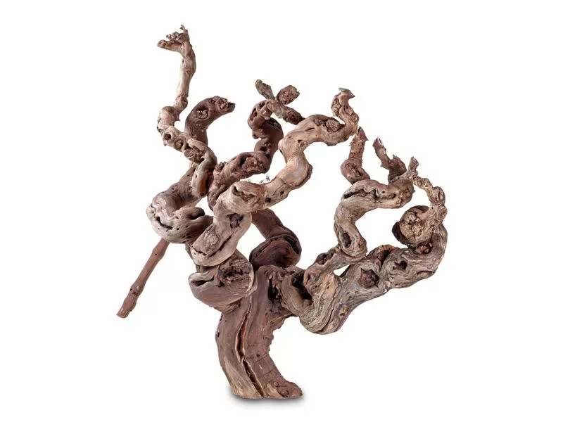 Hobby Terraristik Weinrebenwurzel ca. 30 cm