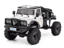 Hobbytech Scale Crawler CRX18 Flat Cage 4WD Silber, RTR, 1:18