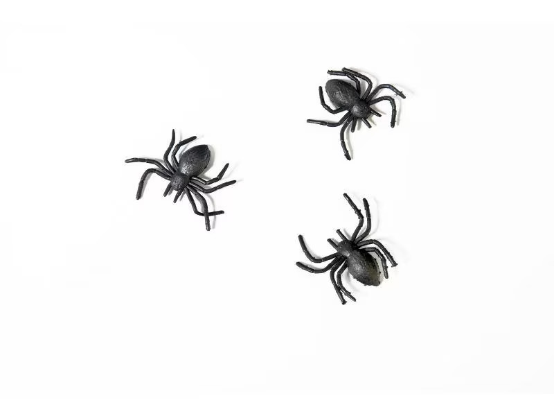 Partydeco Kleinteile Plastikspinnen Schwarz