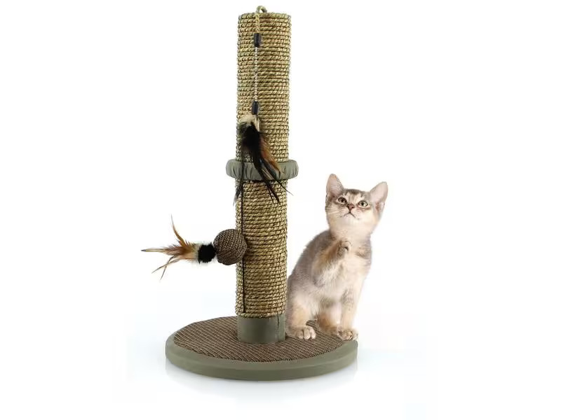 SwissPet Kratzmöbel Naturo, 50 cm, Braun