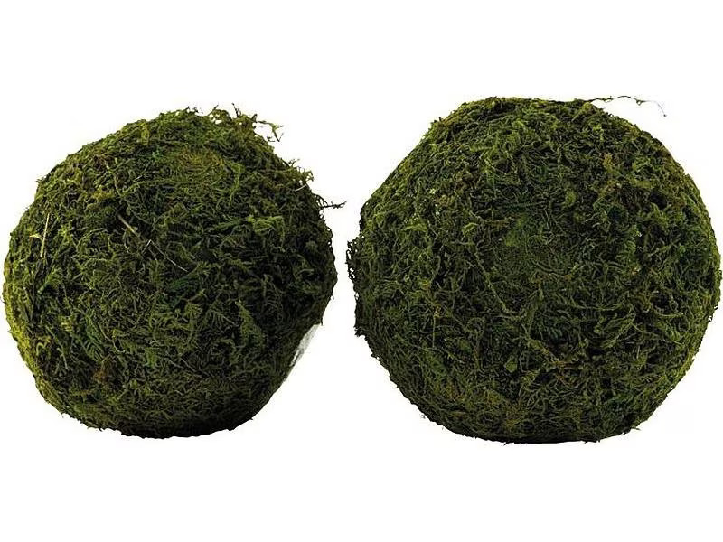 Dekomat AG Mooskugel  2 Stück Ø 10 cm, Grün