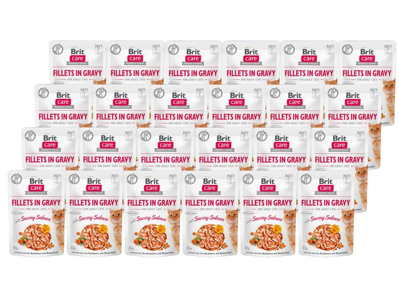 Brit Nassfutter Care Fillets Sauce Lachs, 24 x 85 g