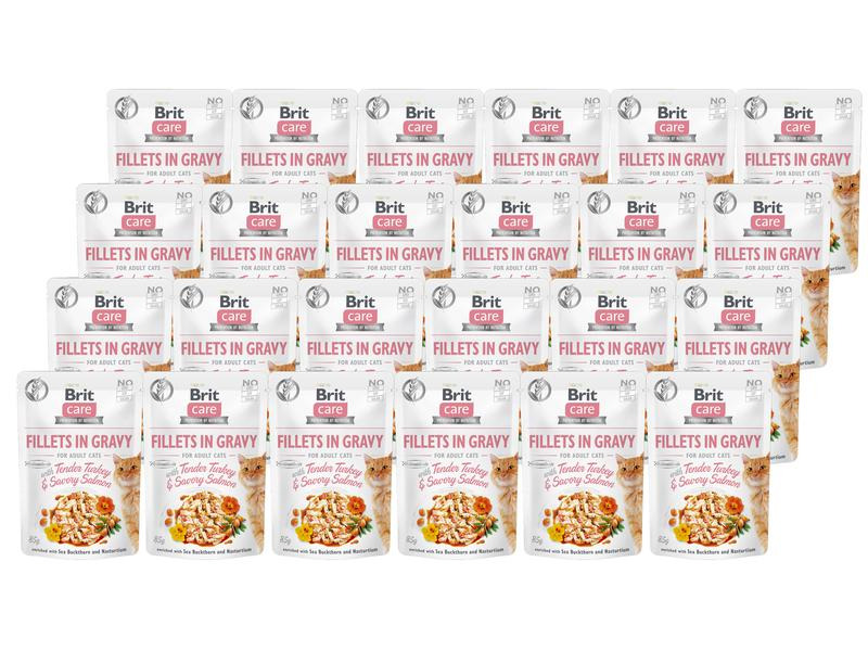 Brit Nassfutter Care Fillets Sauce Truthahn &amp; Lachs, 24 x 85 g