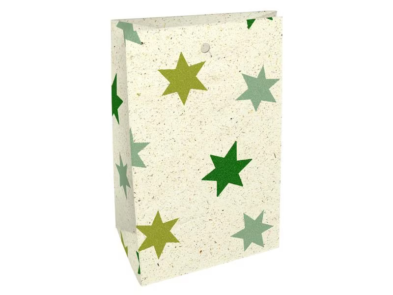 Braun + Company Geschenktüte Iceland Forest 4er Set