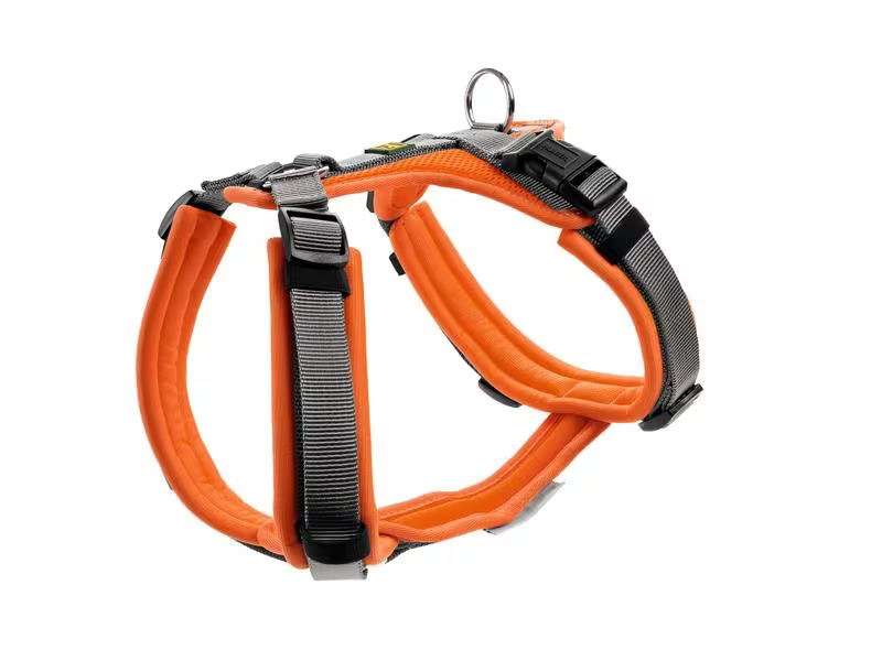 Hunter Geschirr Maldon, M, Orange/Grau