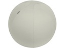 Leitz Ergo Active Sitzball 65 cm