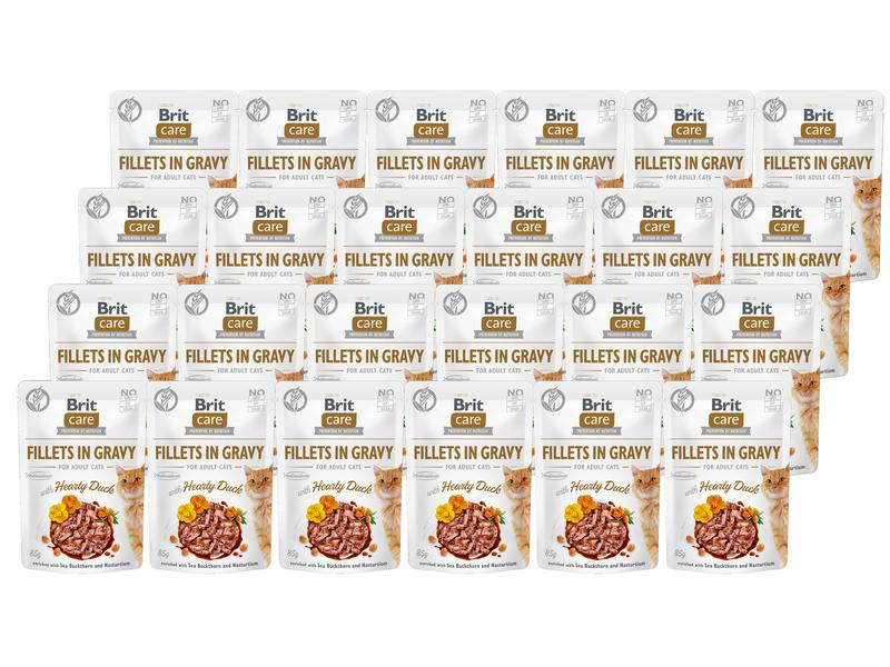 Brit Nassfutter Care Fillets Sauce Ente, 24 x 85 g